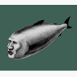 Meet your Posher, Rico